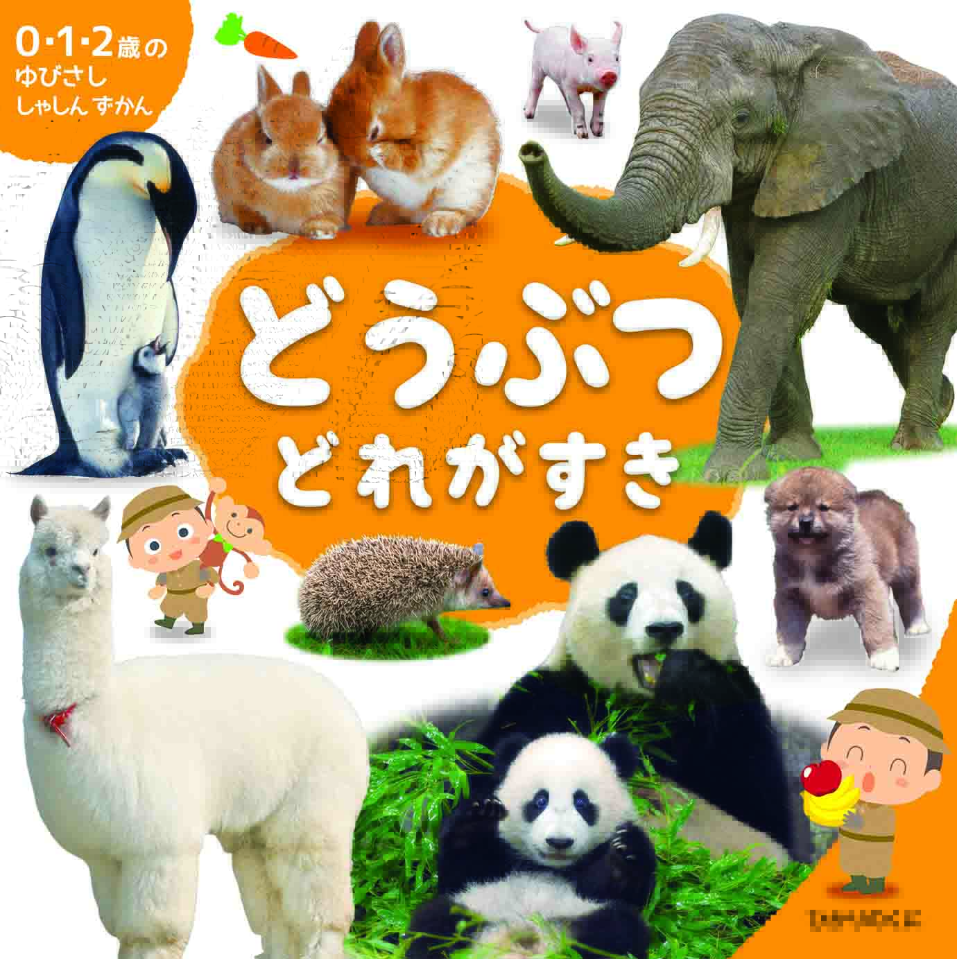 メイン画像
