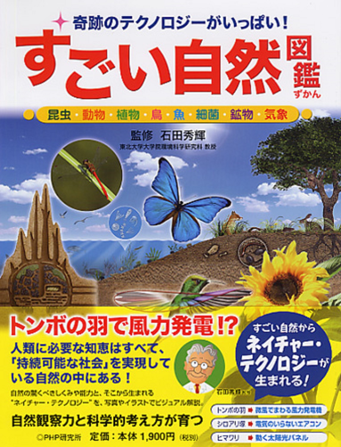 メイン画像