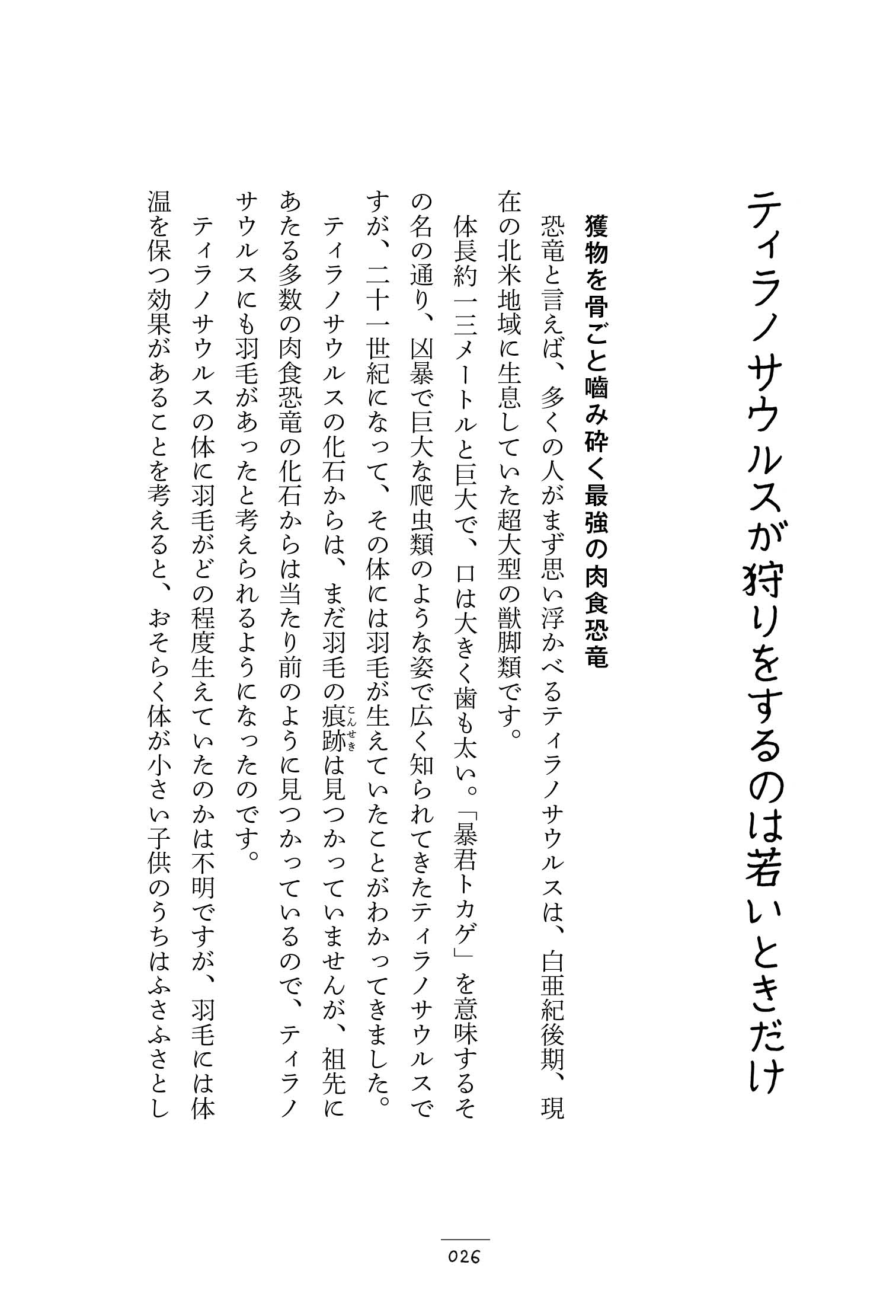 サムネイル画像5