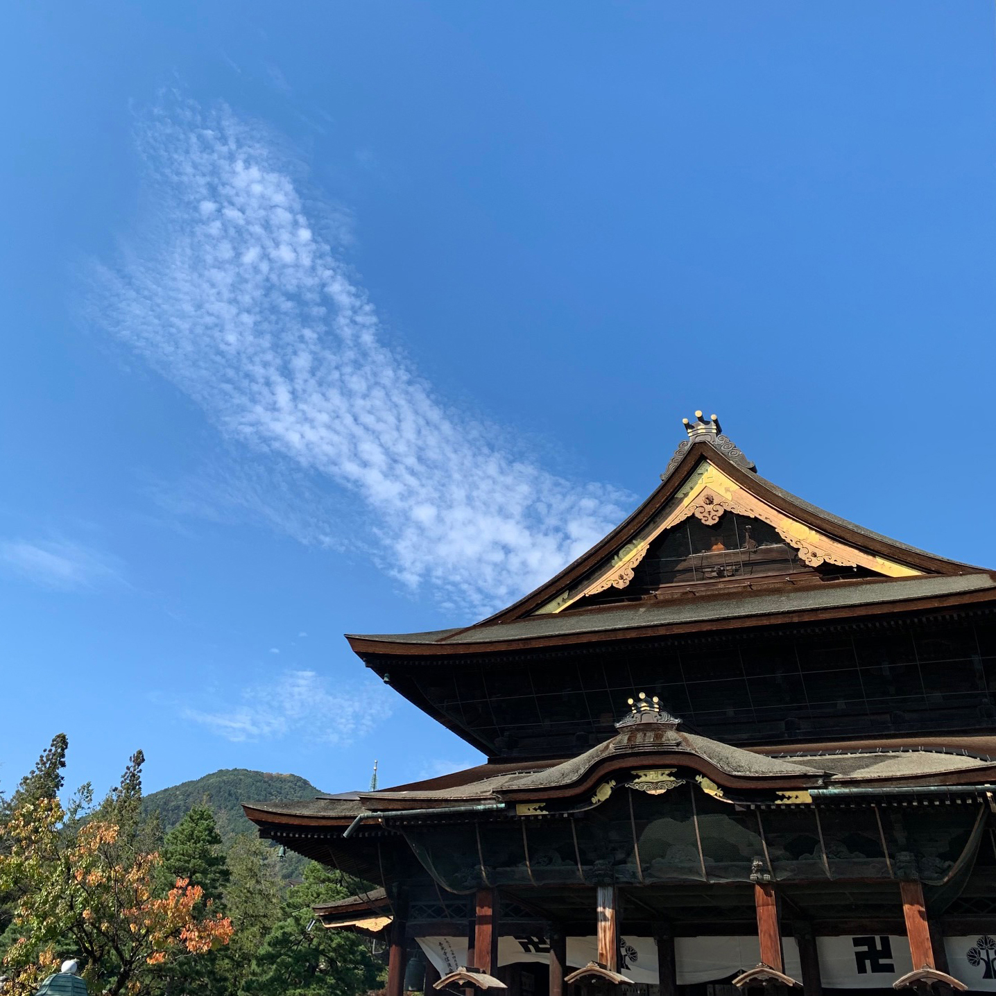 サムネイル画像3