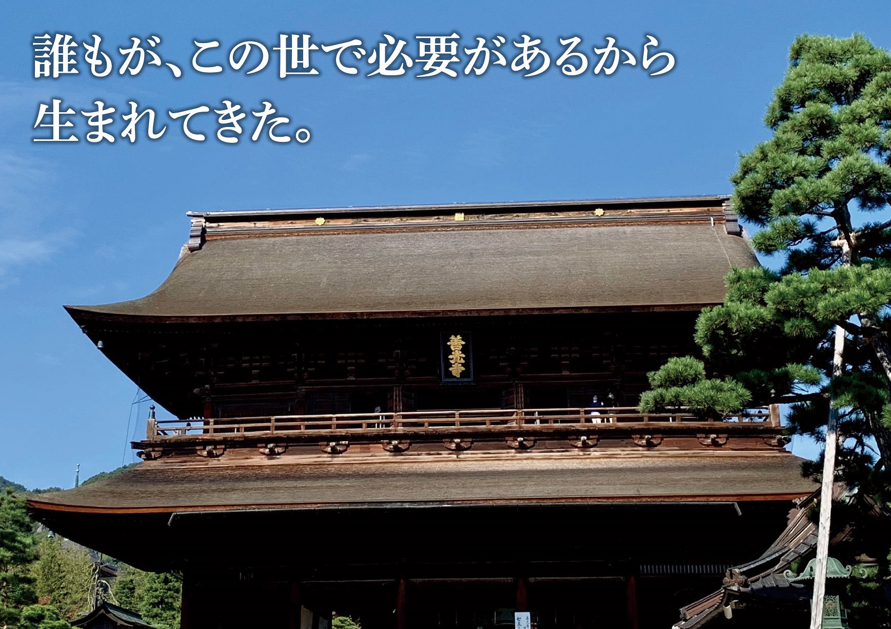 サムネイル画像4
