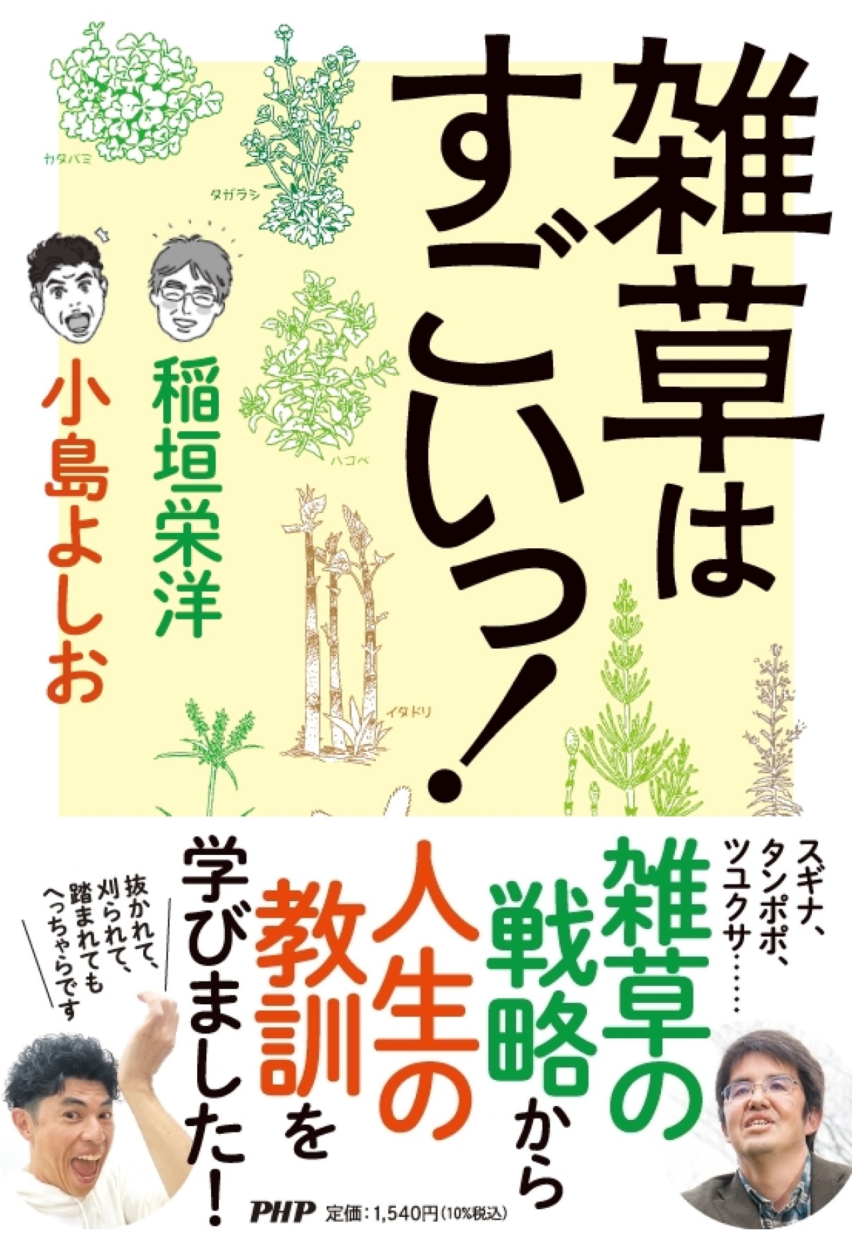 メイン画像