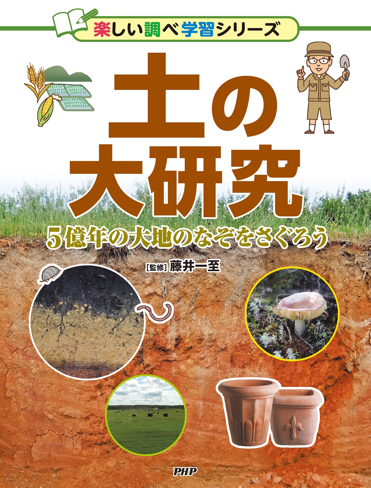 メイン画像