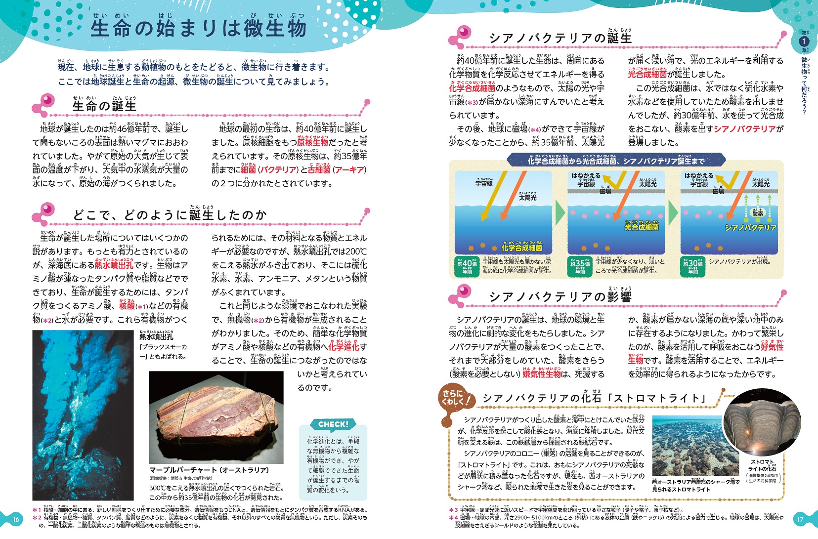 サムネイル画像2
