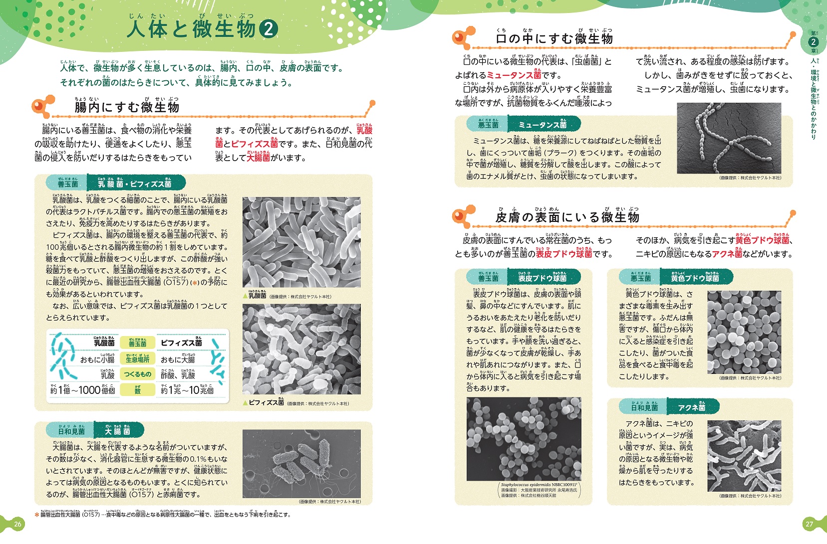 サムネイル画像3