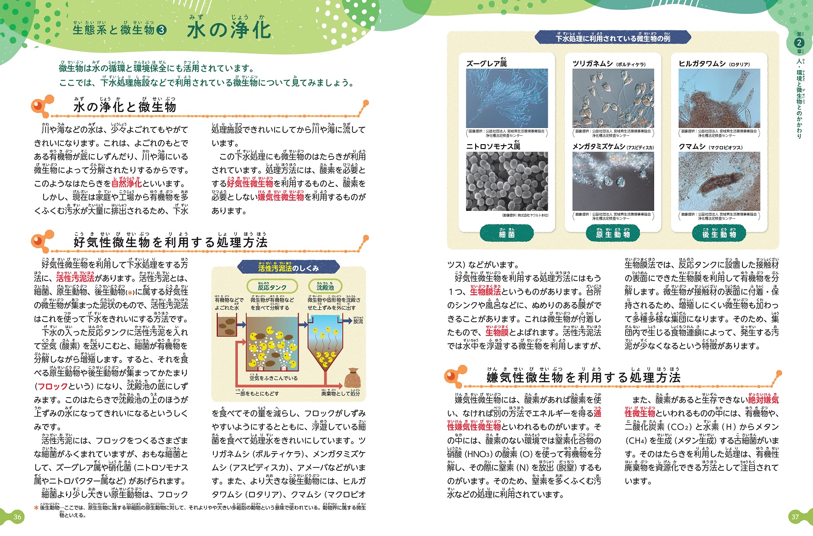 サムネイル画像4