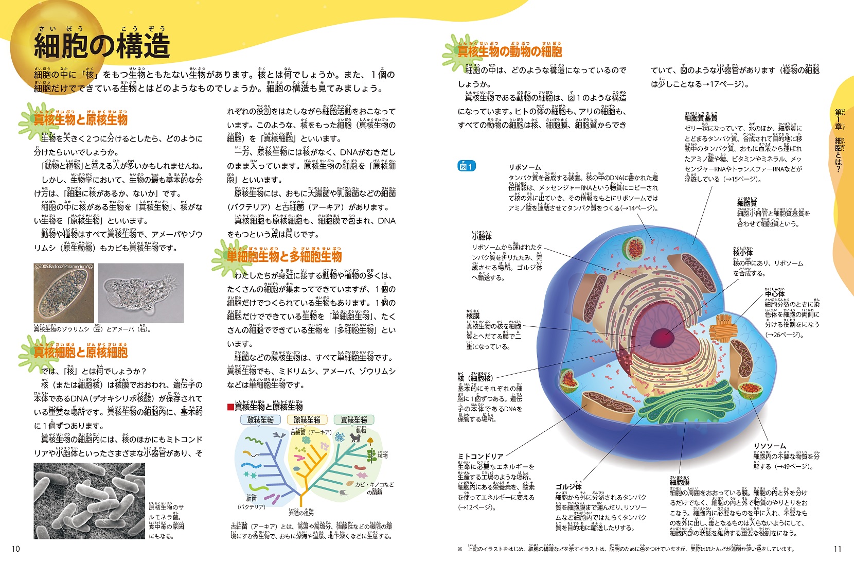 サムネイル画像1