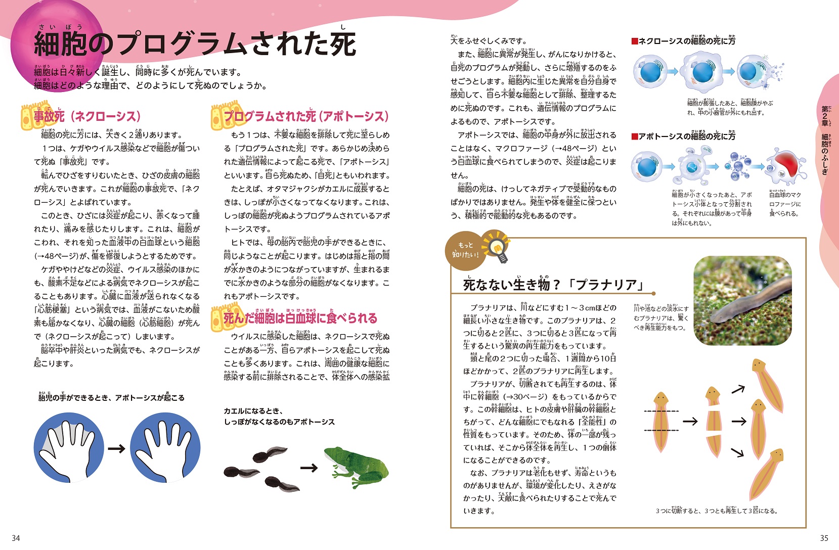 サムネイル画像4