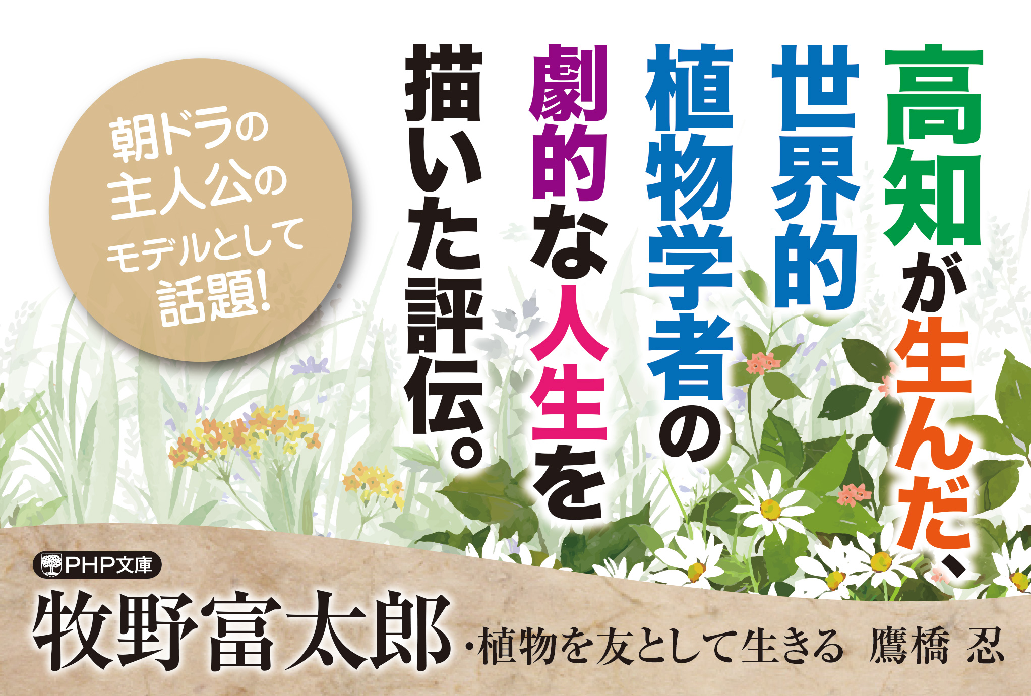 サムネイル画像5