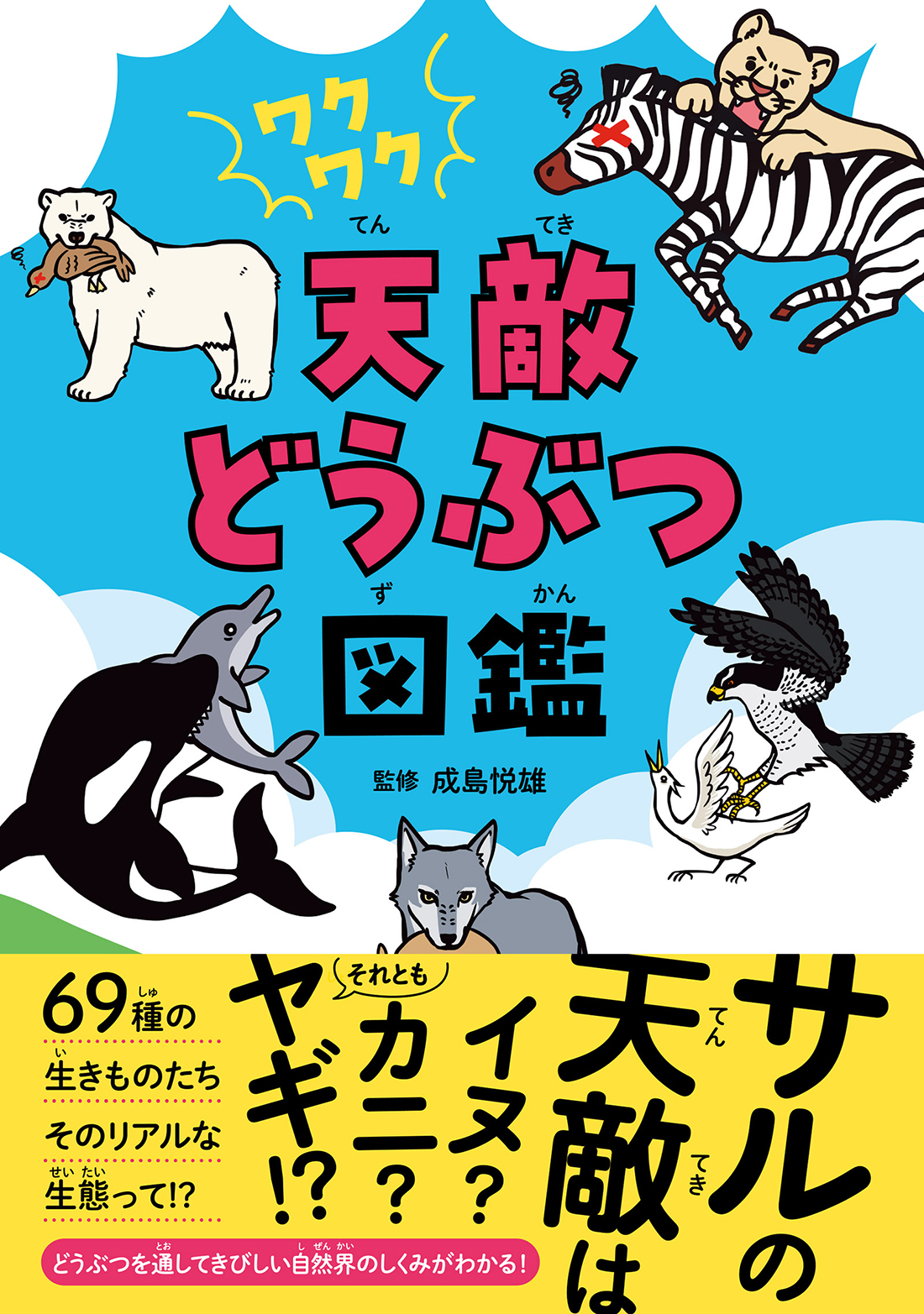 メイン画像