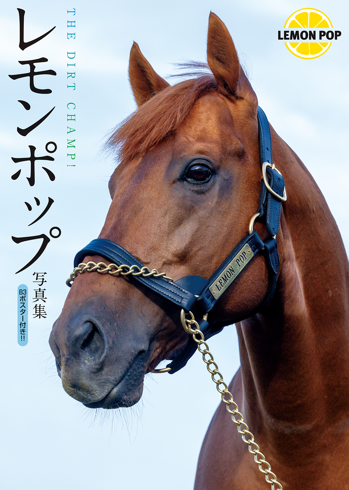 サムネイル画像1