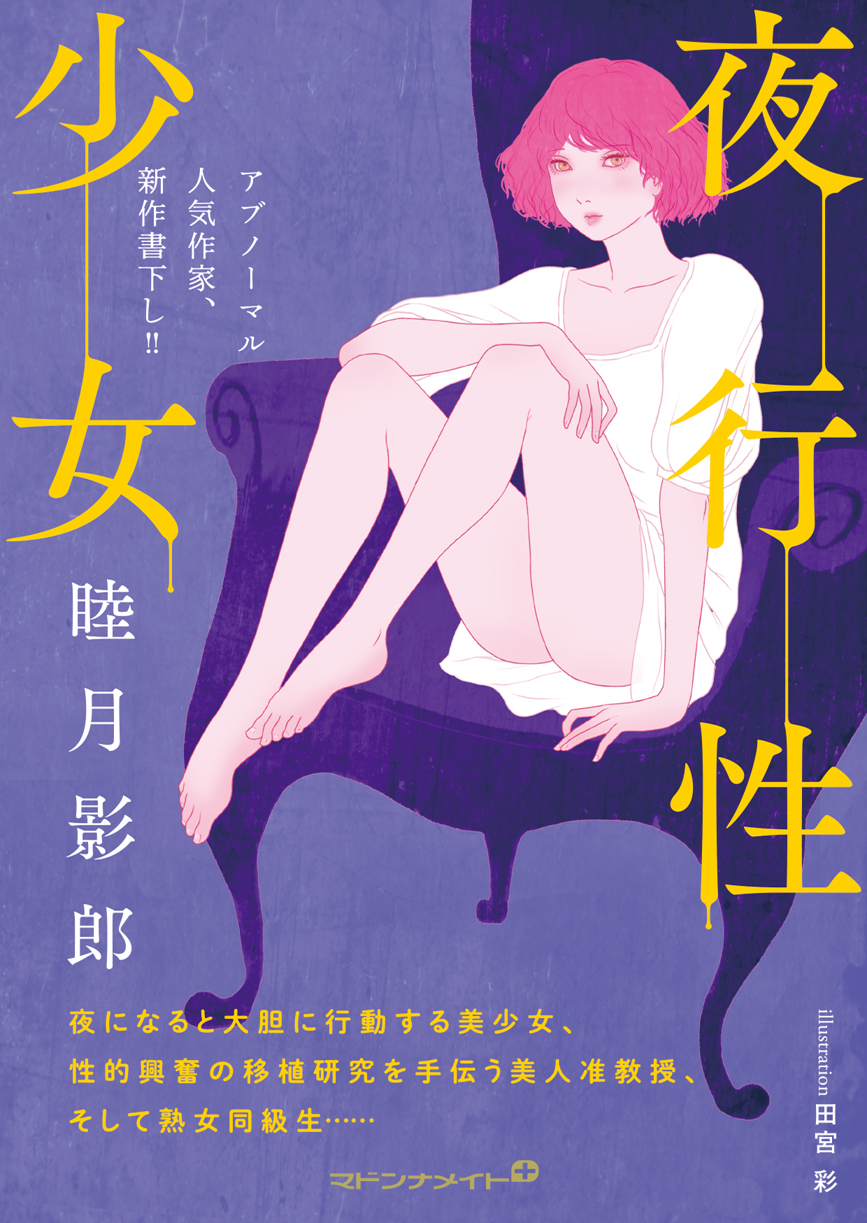 メイン画像