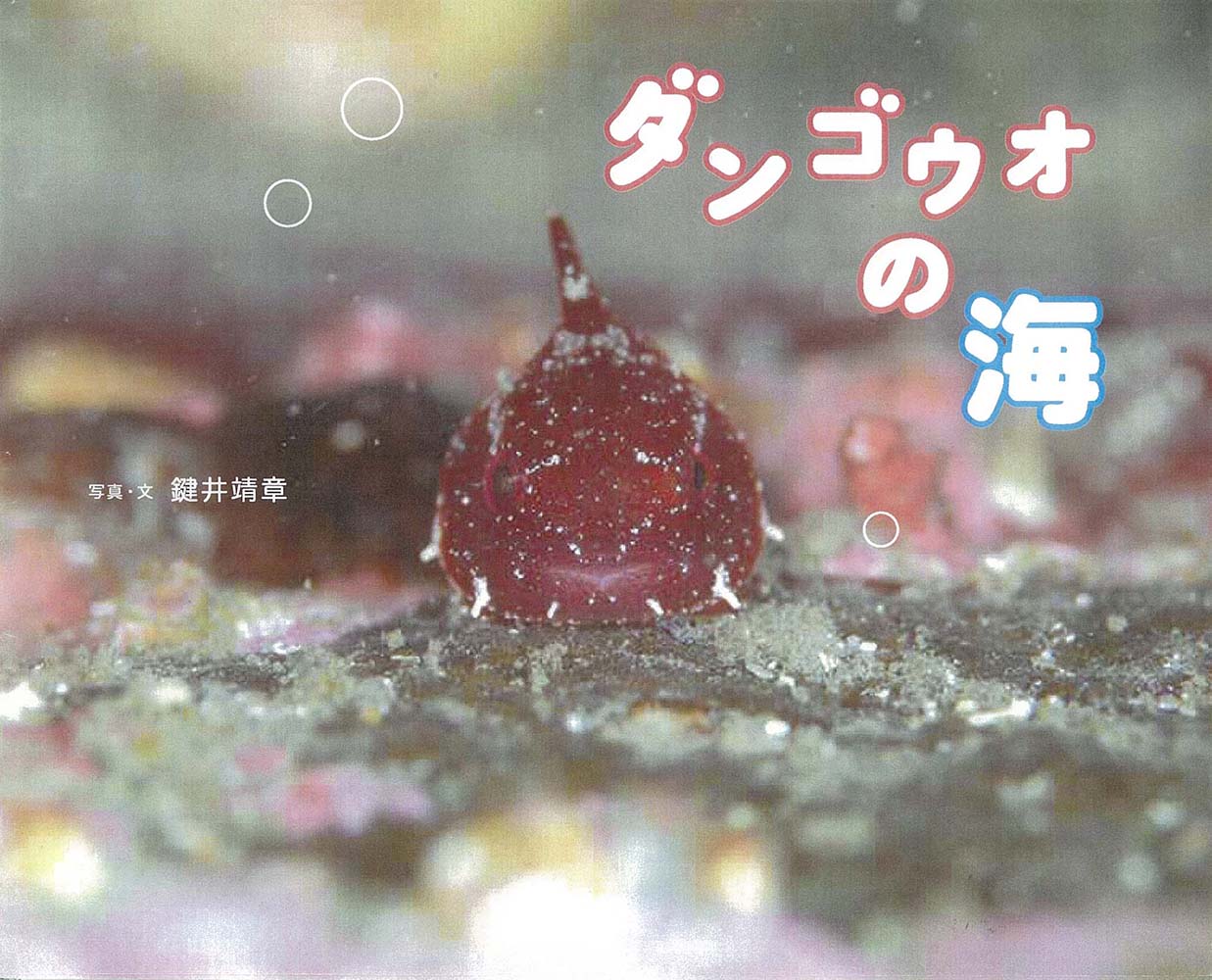 メイン画像