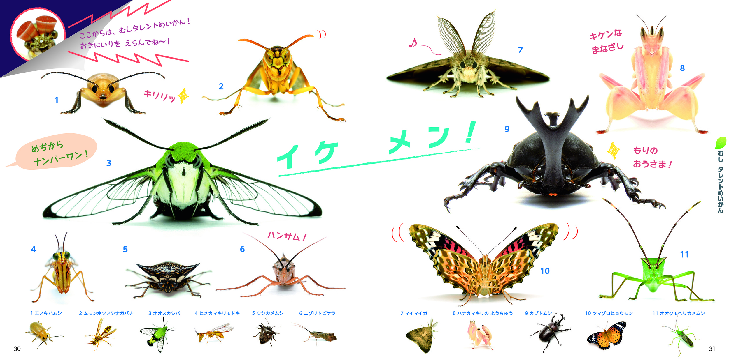 サムネイル画像3