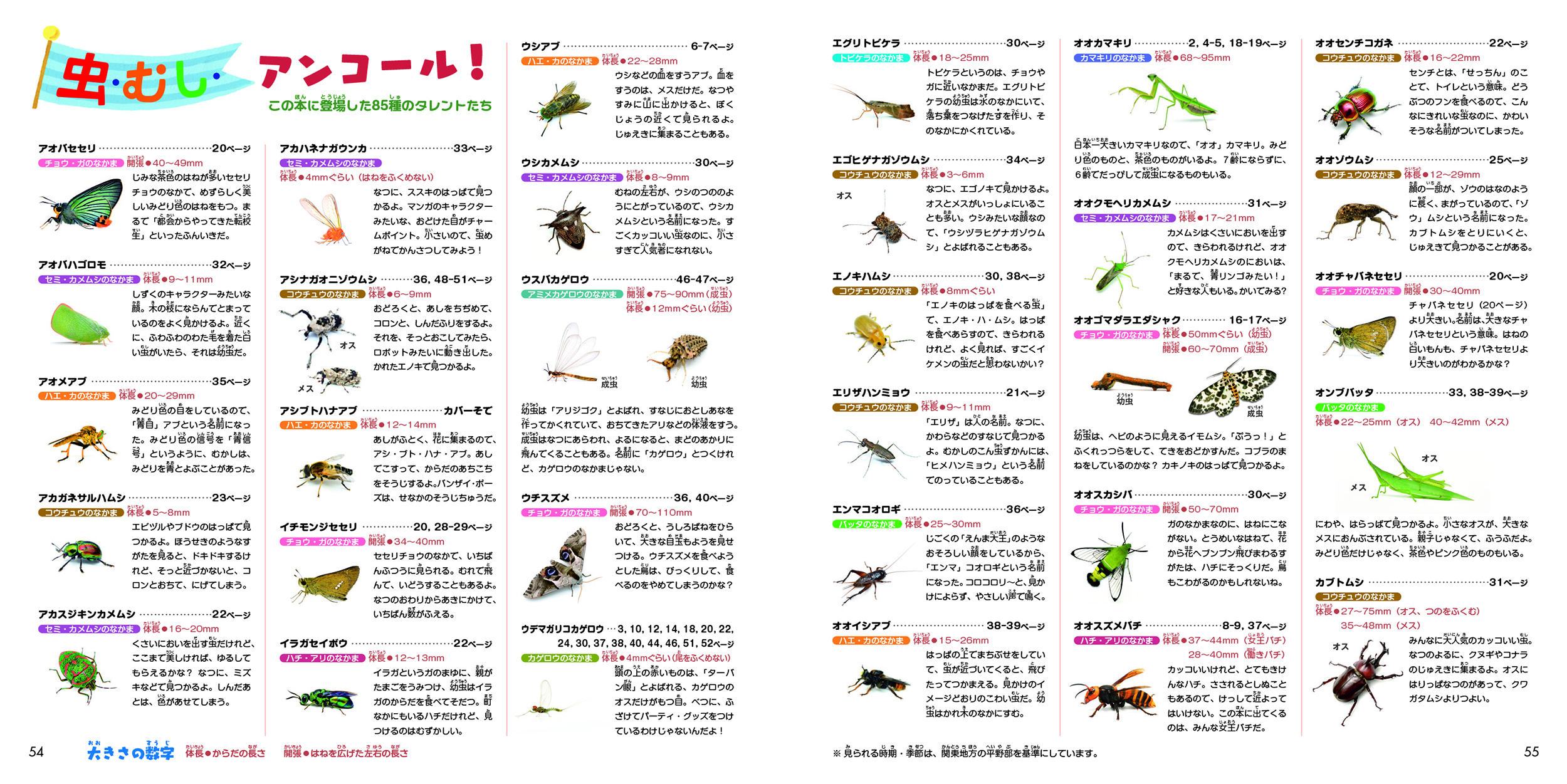 サムネイル画像5