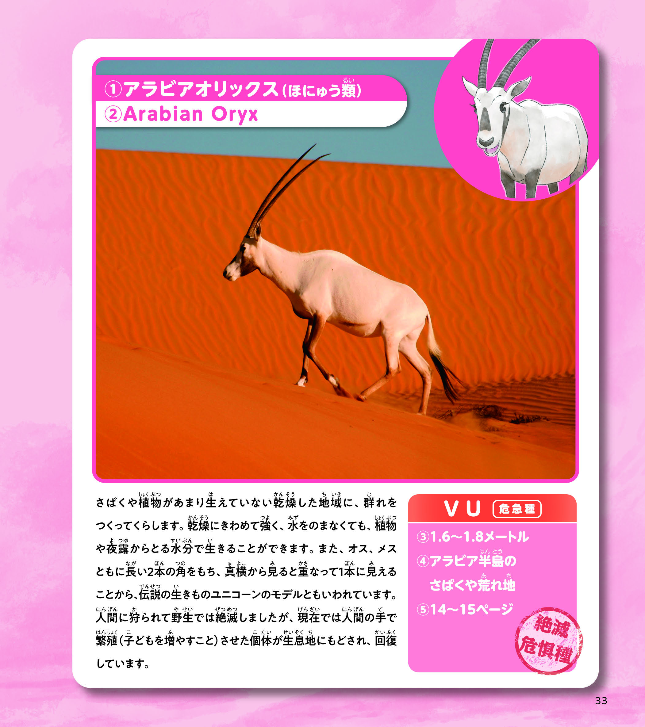 サムネイル画像6