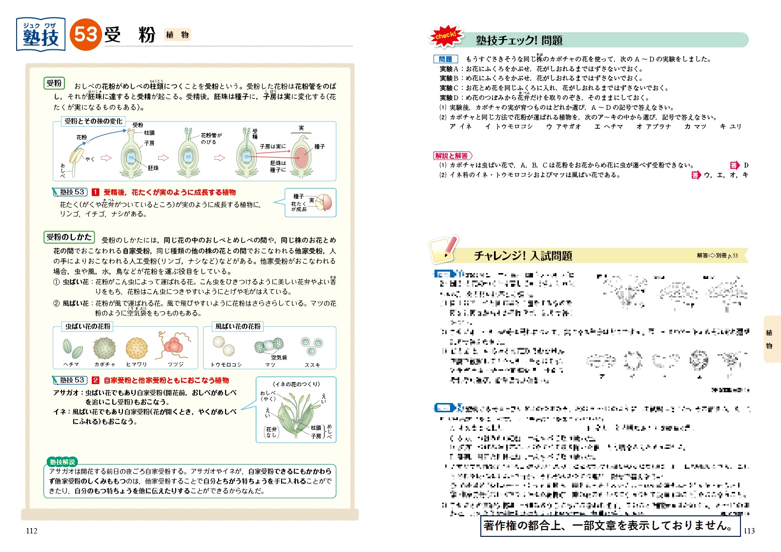 サムネイル画像4