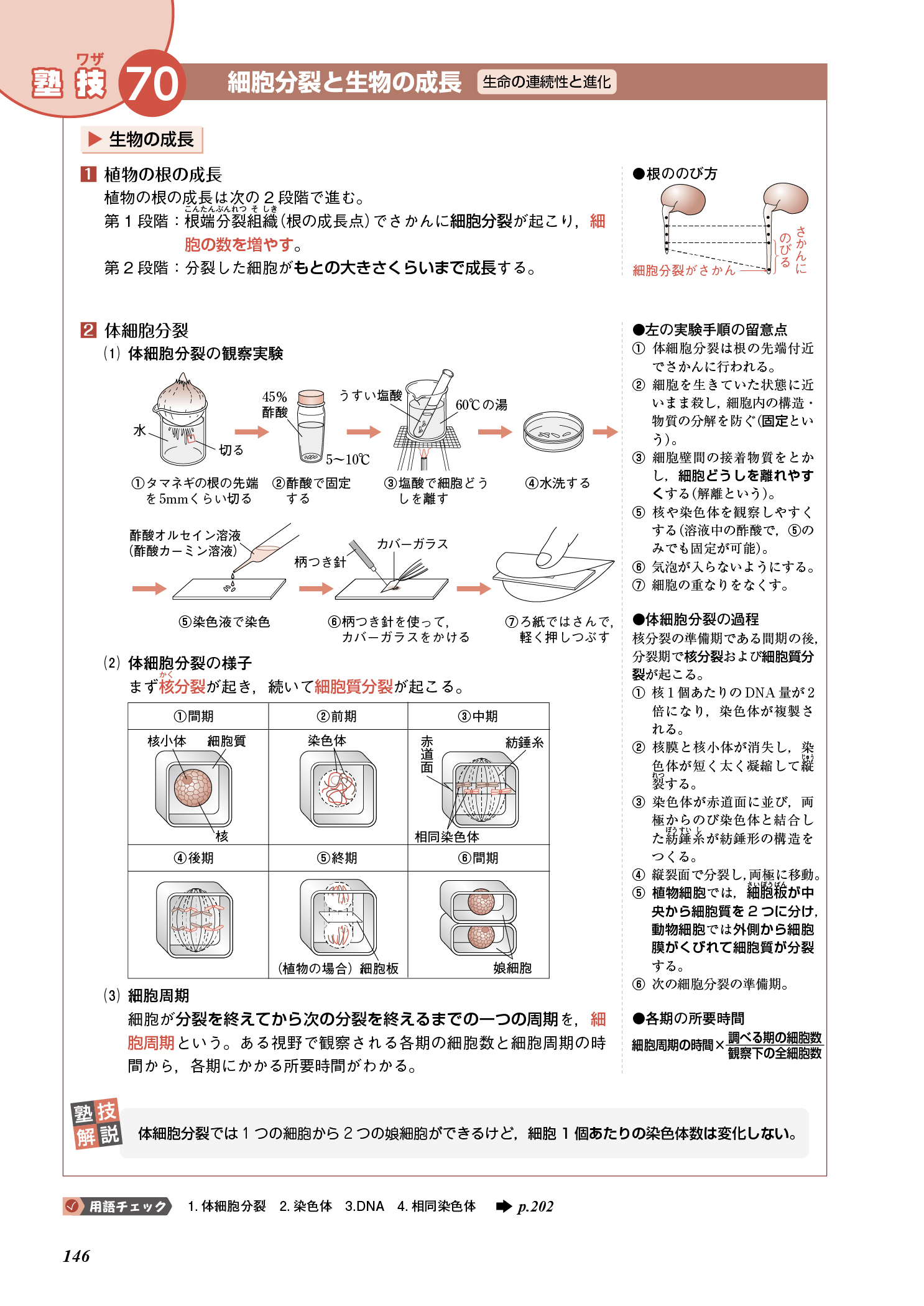 サムネイル画像7