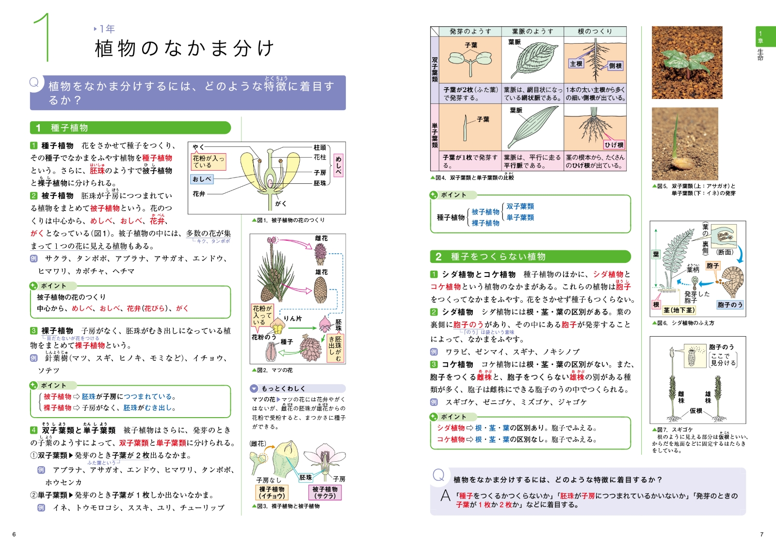 サムネイル画像4