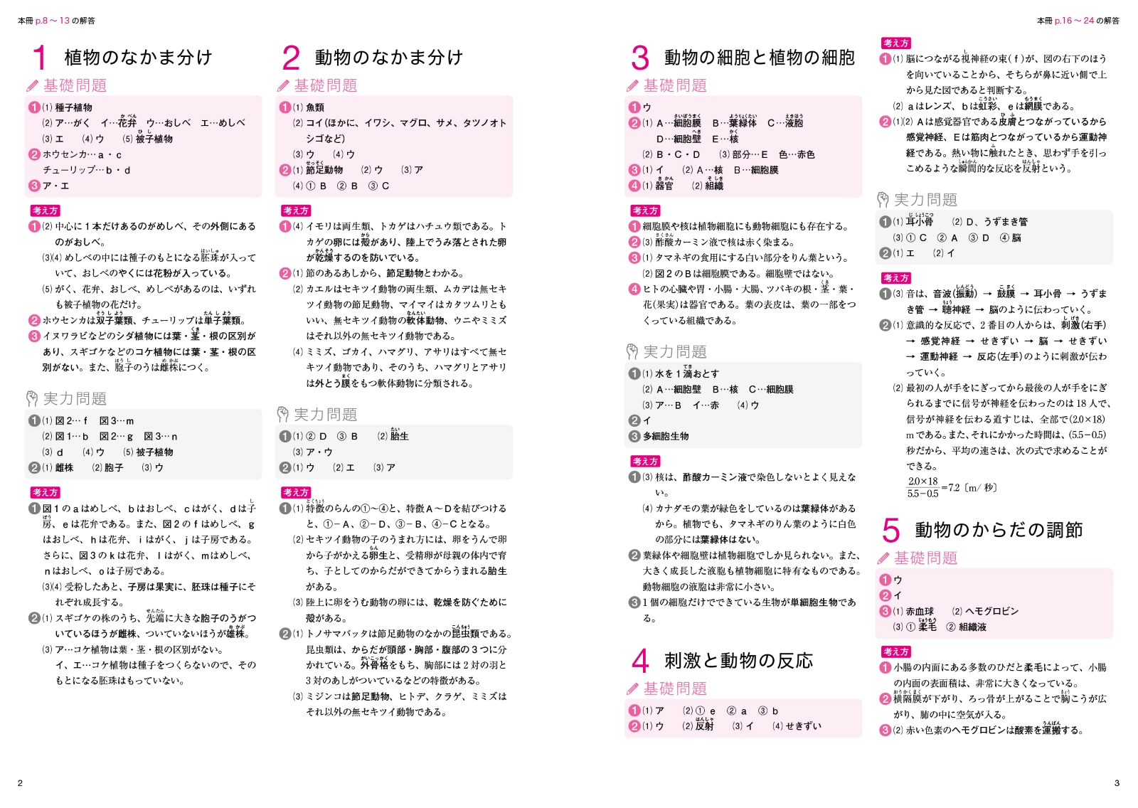 サムネイル画像7