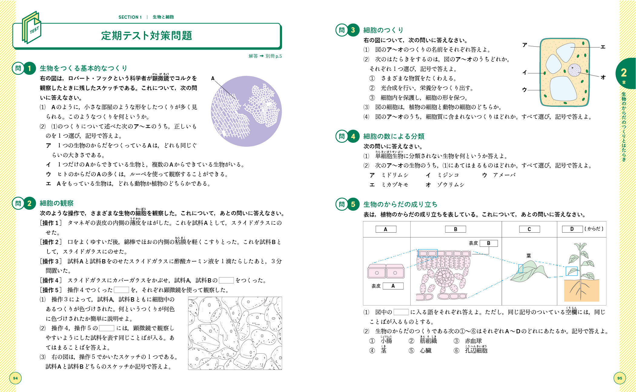 サムネイル画像7