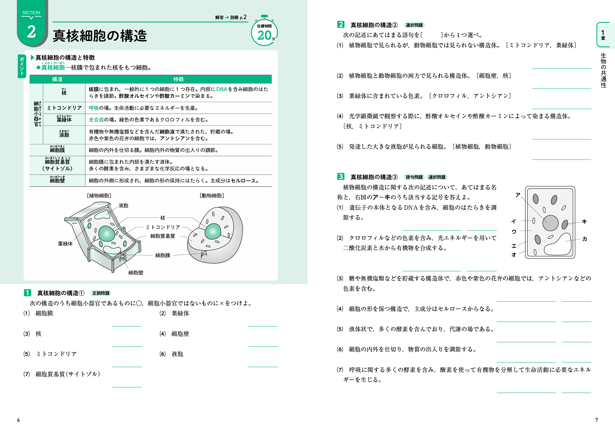サムネイル画像2