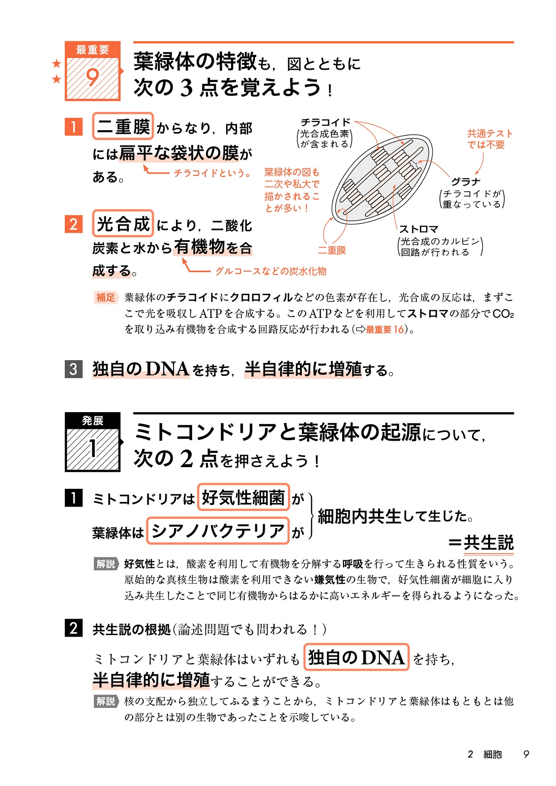サムネイル画像5