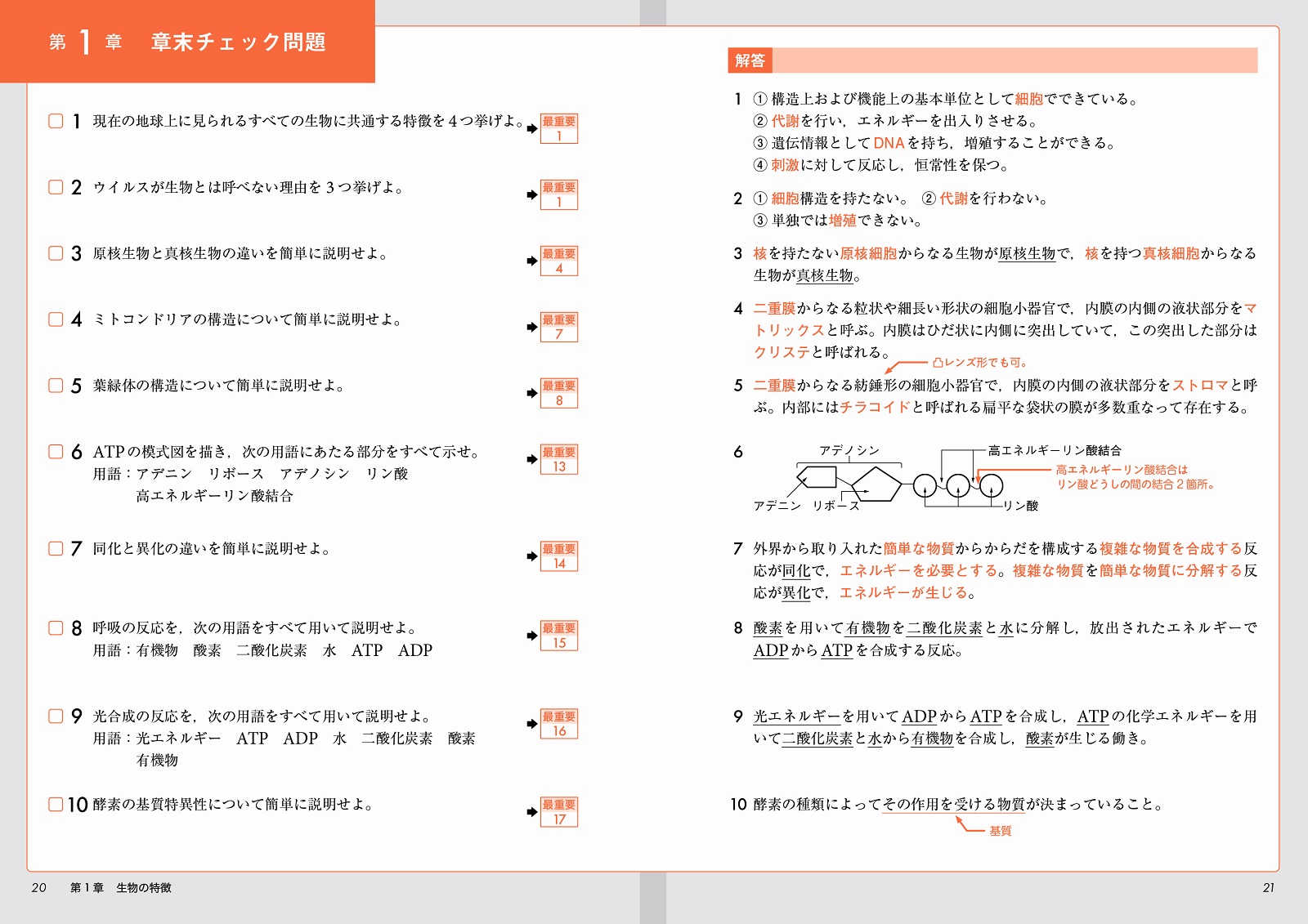 サムネイル画像6