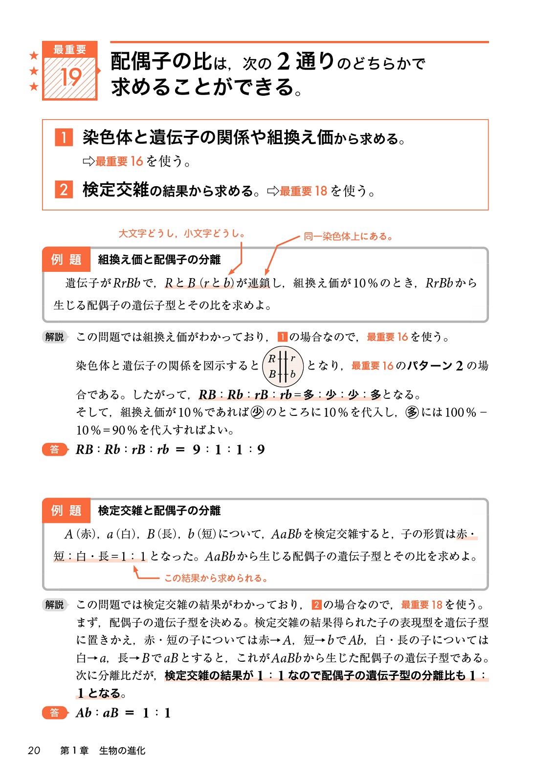 サムネイル画像5