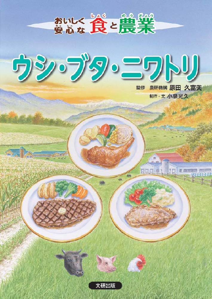 メイン画像