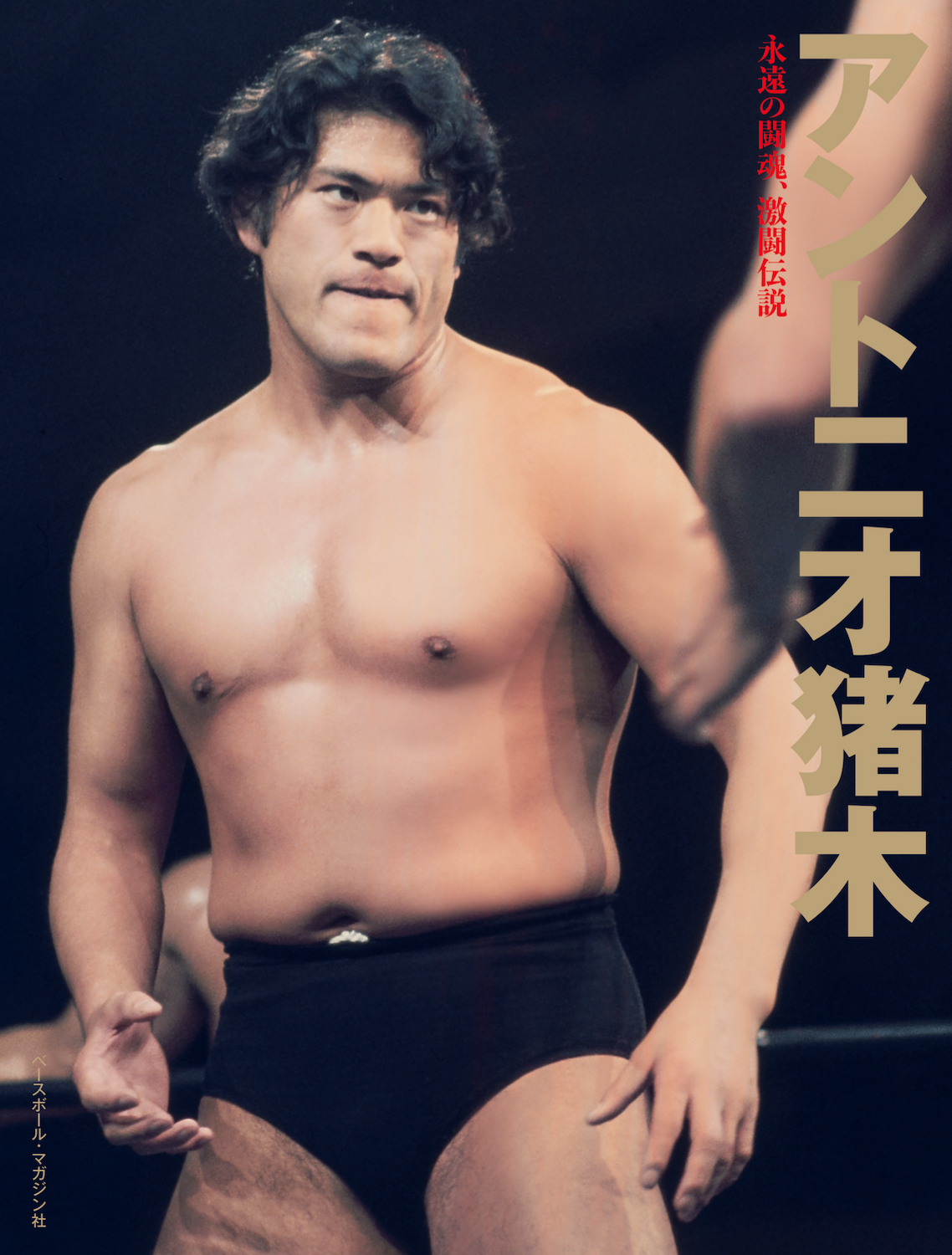 メイン画像