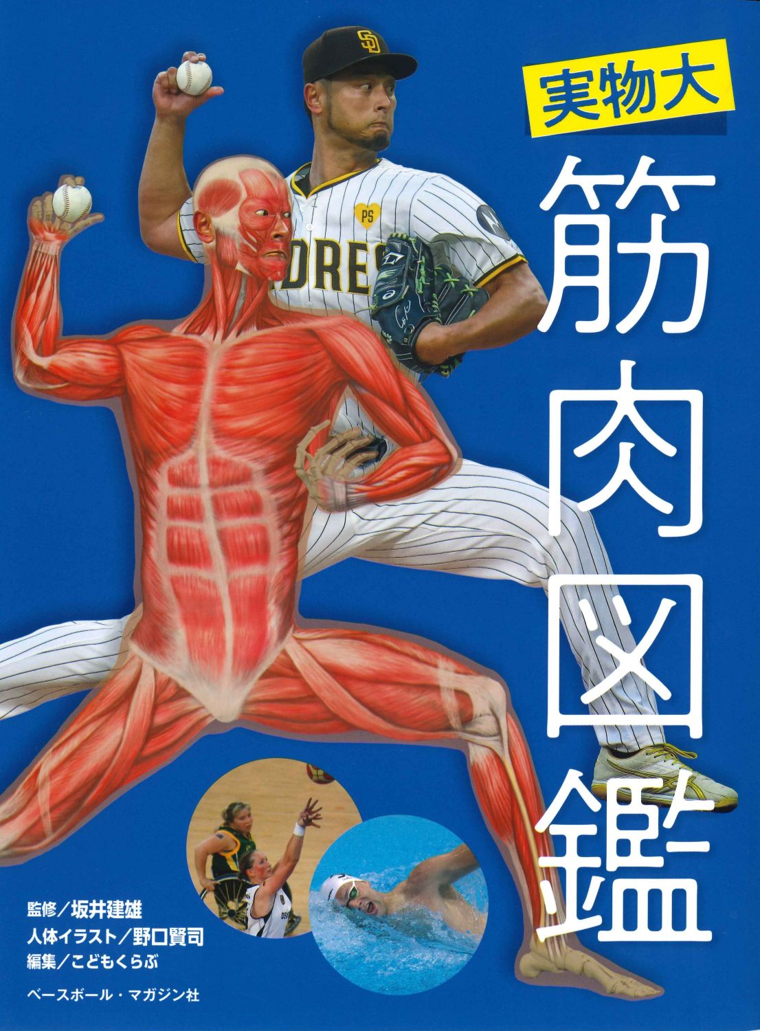 メイン画像