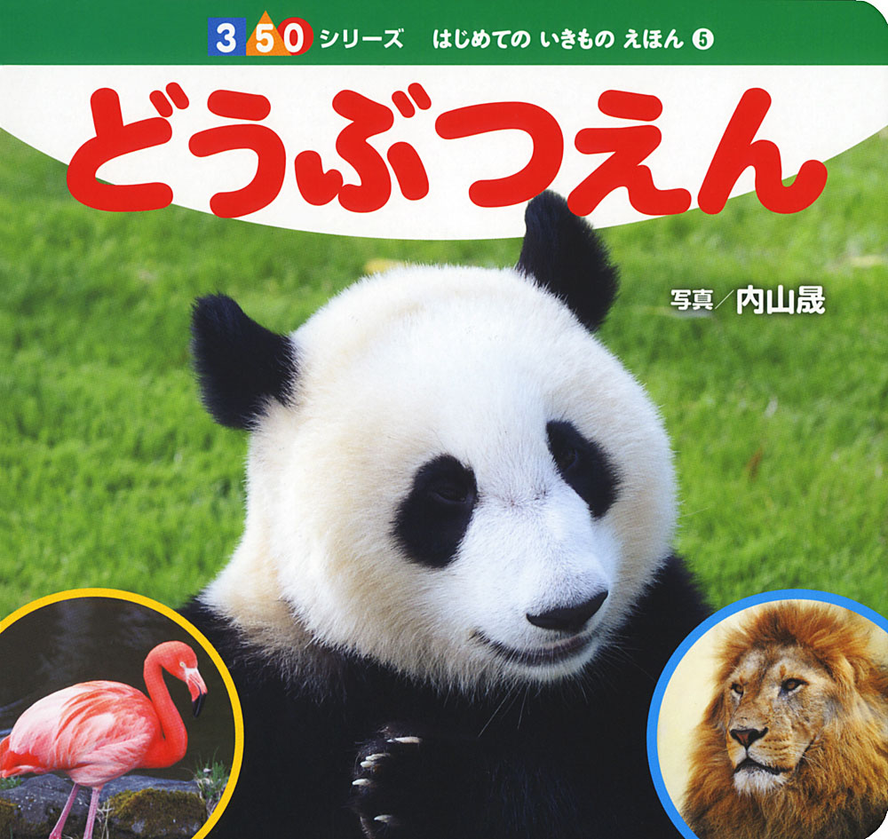 メイン画像