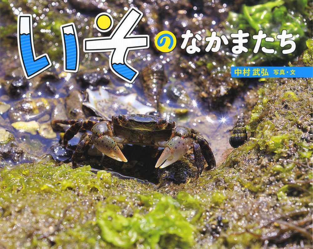 メイン画像
