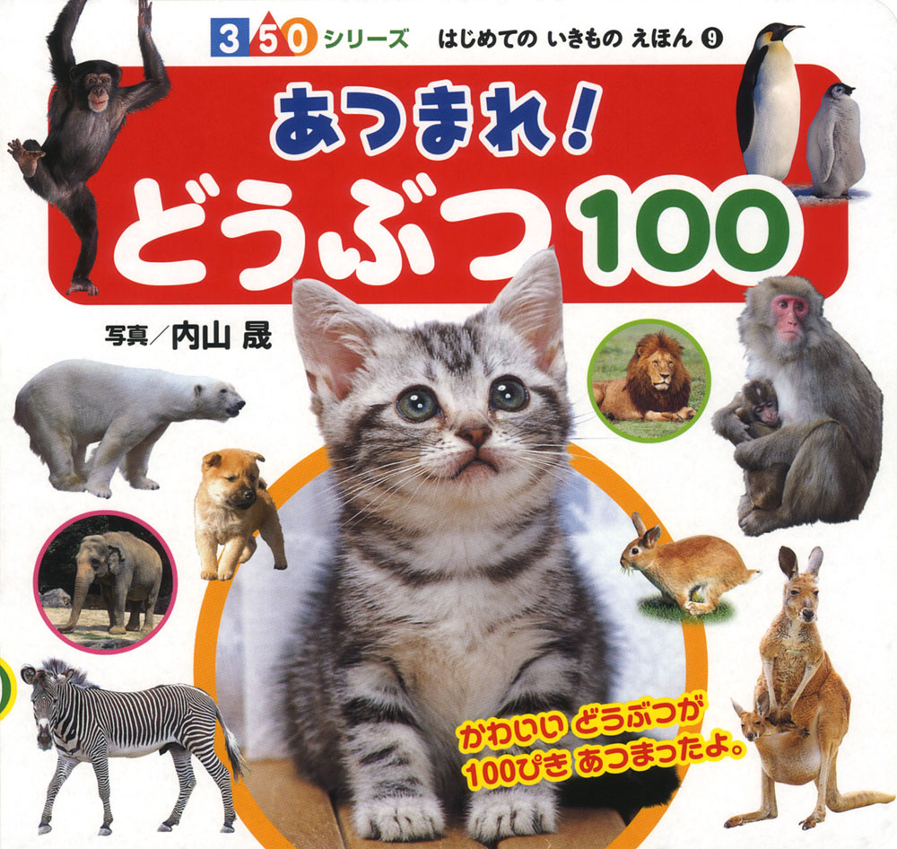 メイン画像