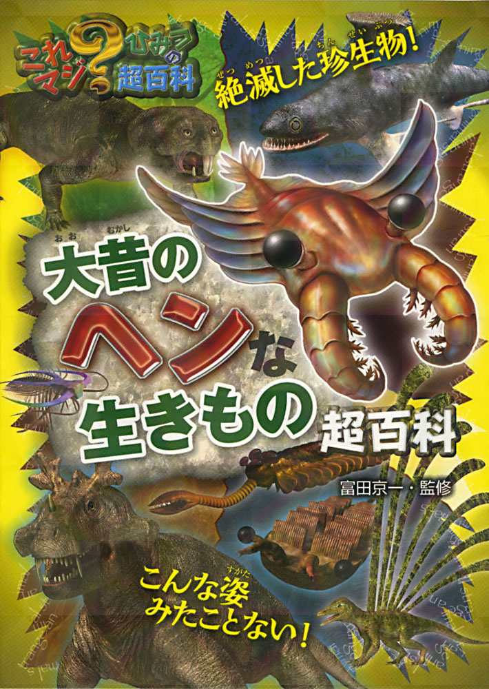 メイン画像