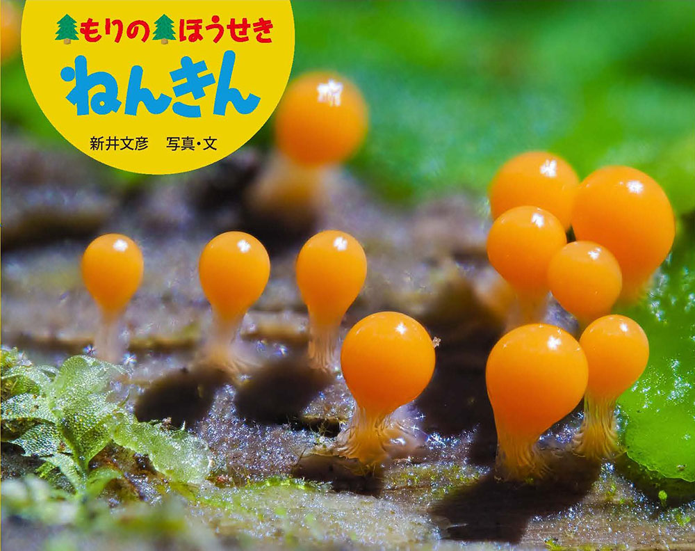 メイン画像