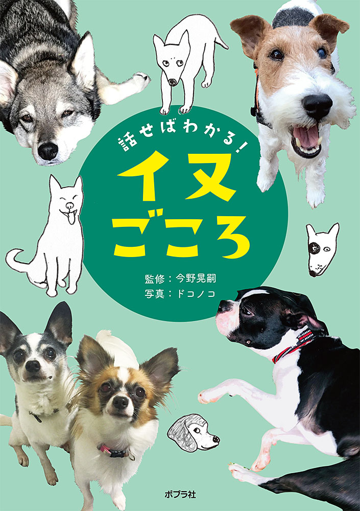 メイン画像