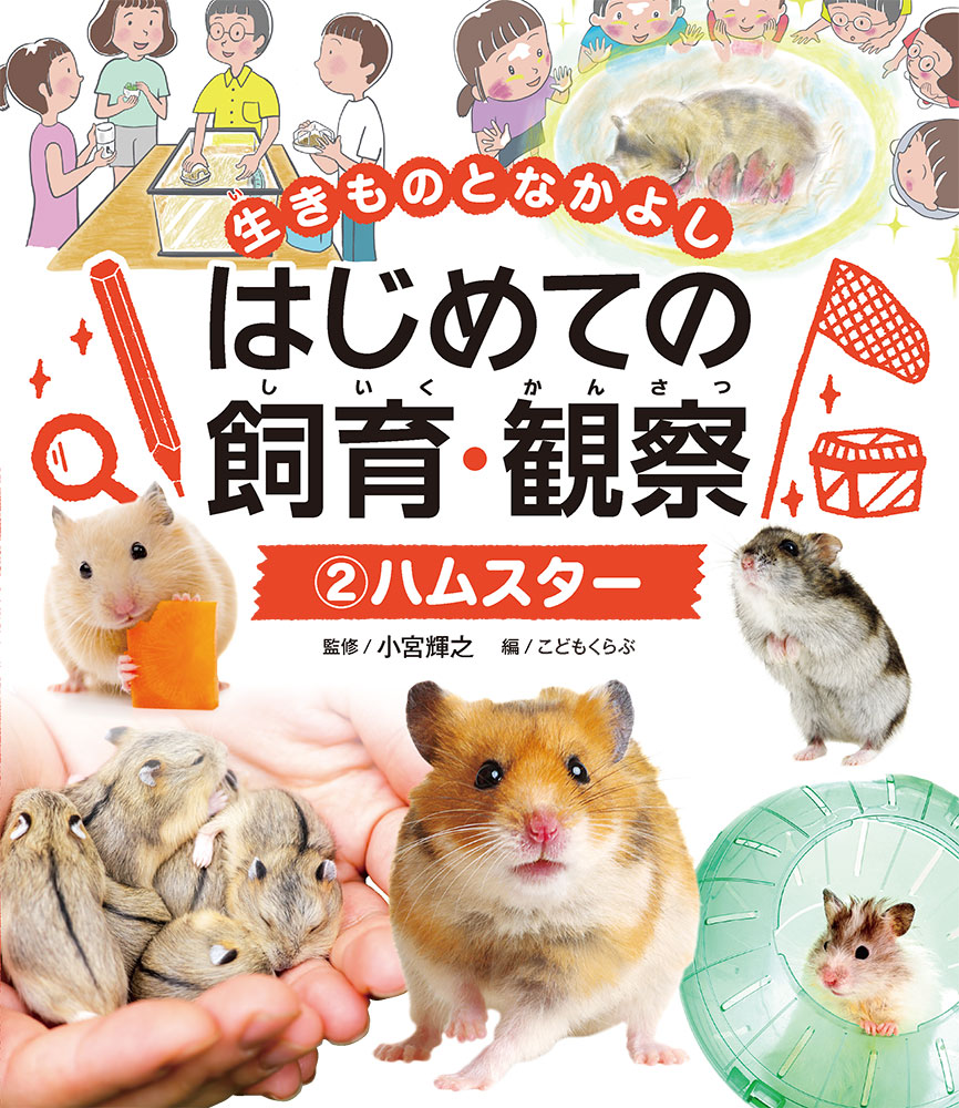メイン画像
