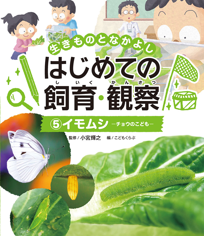 メイン画像
