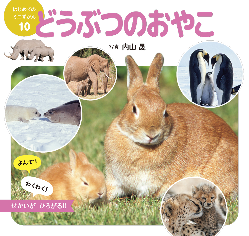 メイン画像