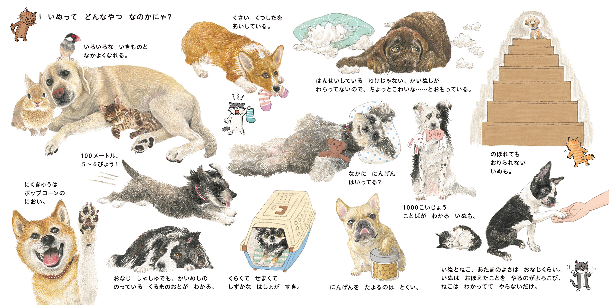 サムネイル画像2