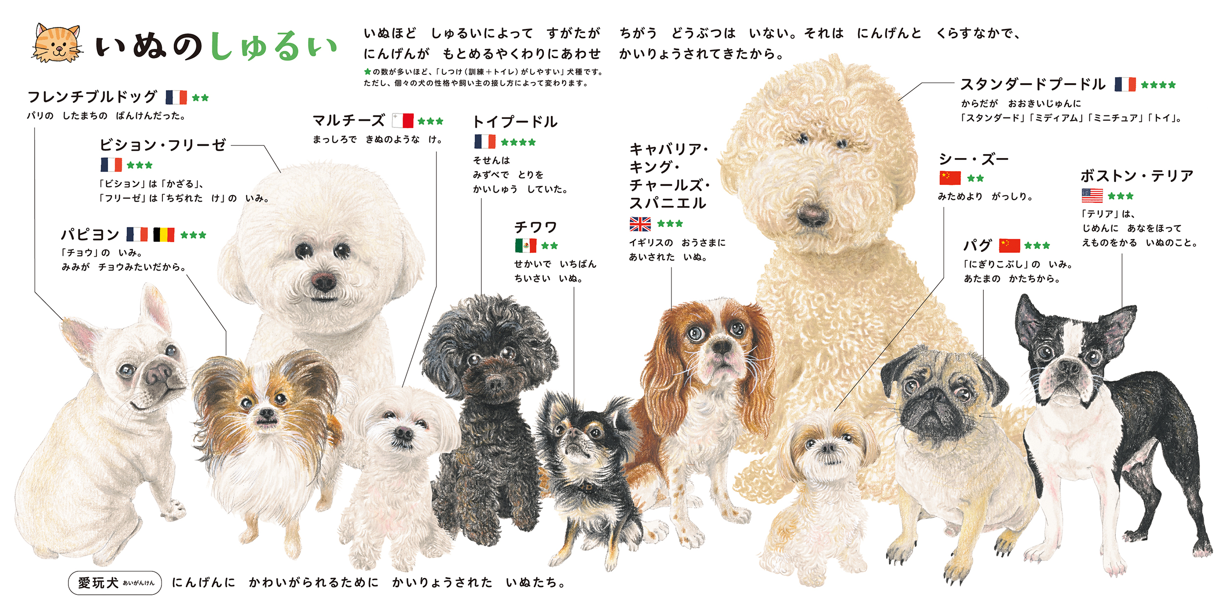 サムネイル画像4