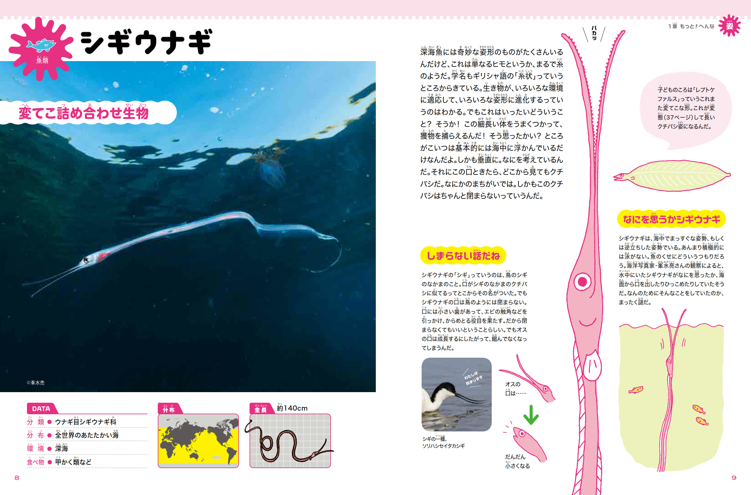サムネイル画像5