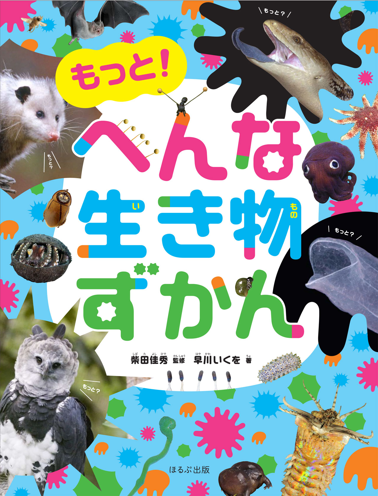 メイン画像