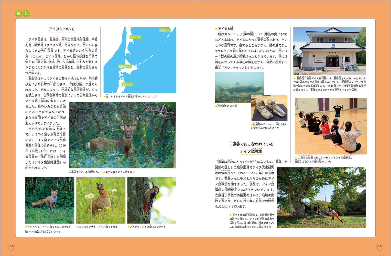 サムネイル画像5