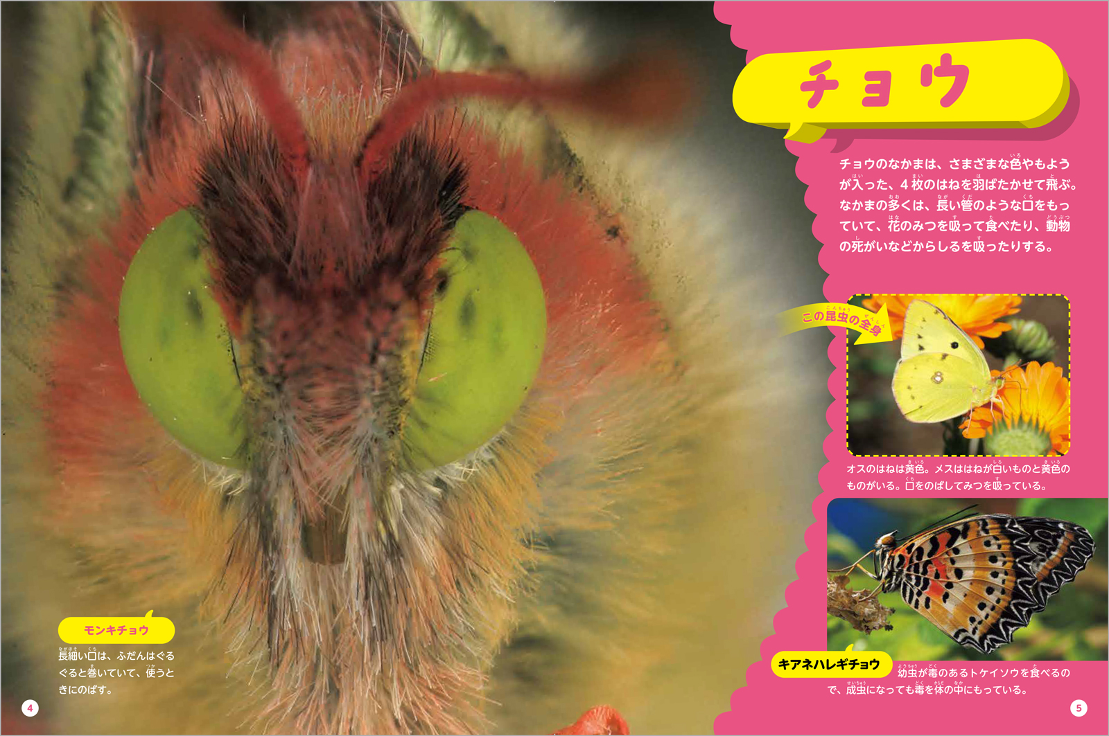 サムネイル画像2
