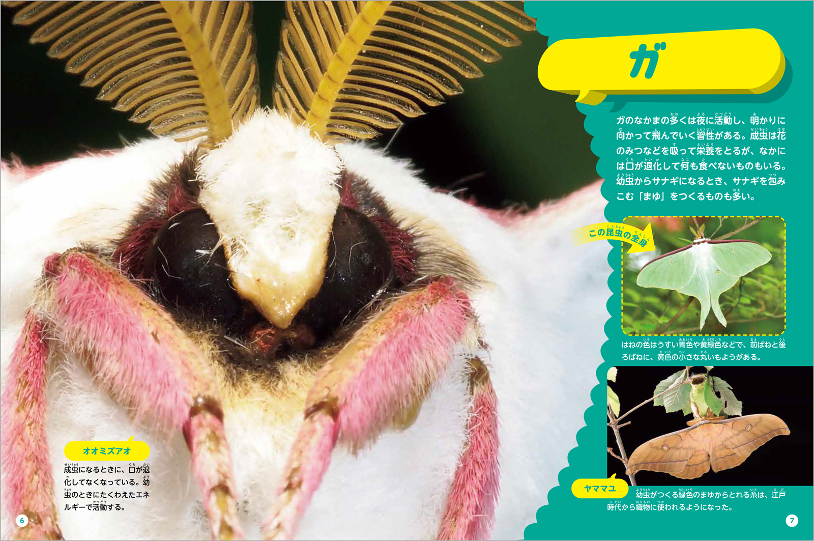 サムネイル画像3