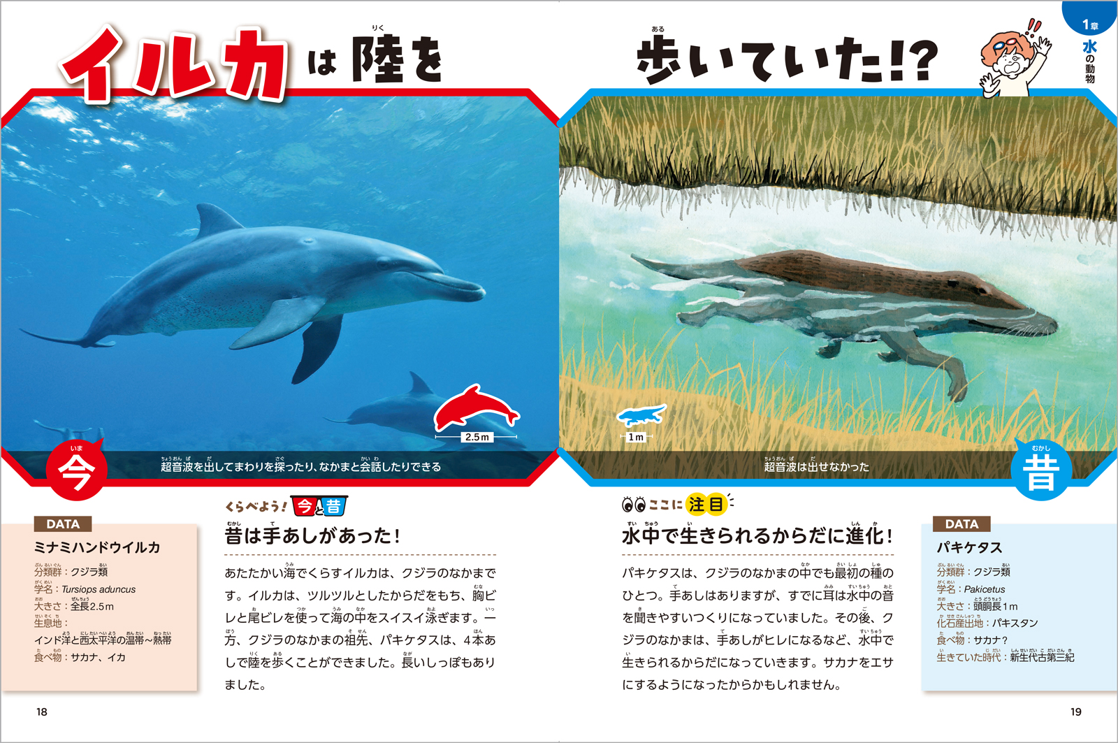 サムネイル画像3