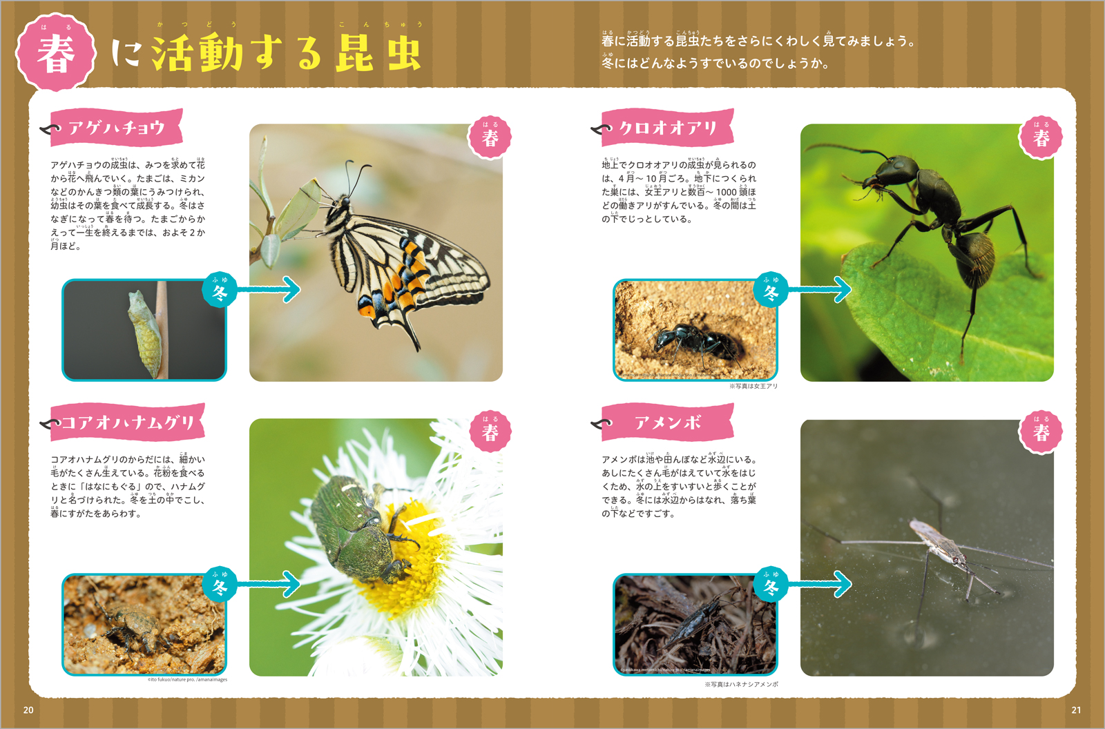 サムネイル画像3